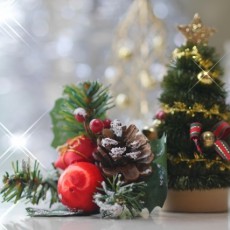 年末年始の過ごし方次第で、転職活動はスムーズに進められます